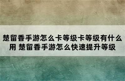 楚留香手游怎么卡等级卡等级有什么用 楚留香手游怎么快速提升等级